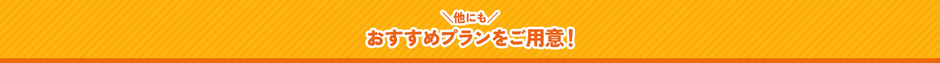 他にもオススメプランをご用意！