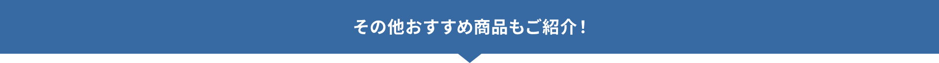 その他おすすめ商品もご紹介！