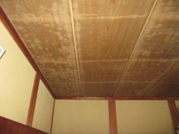 天井板 掃除 和室 クロス