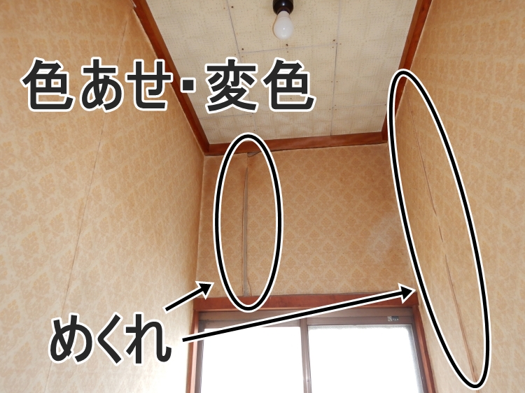 20220526tsama_toilet_mae01.jpg