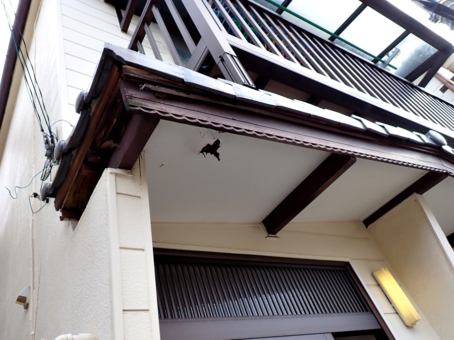 庇の雨漏り解消