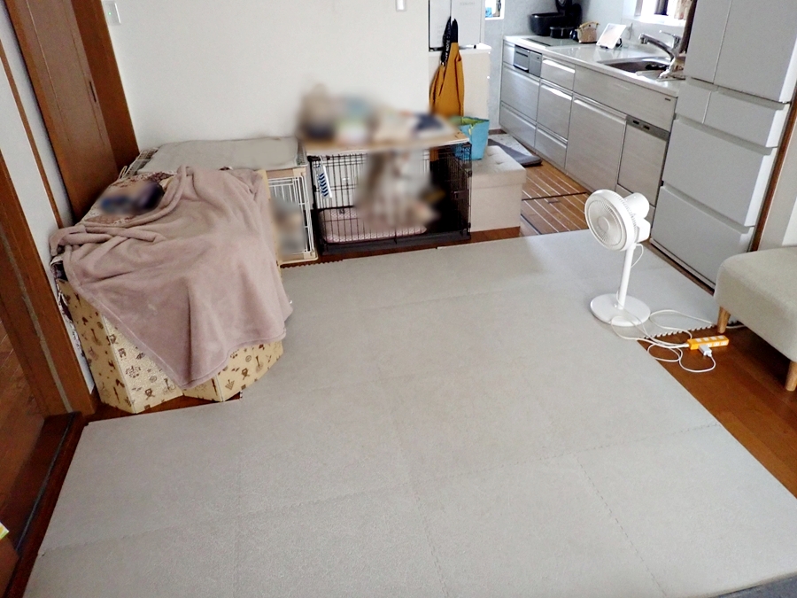 人も犬も猫も快適に暮らせる床に